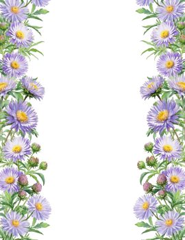 Purple flowers border transparent background png