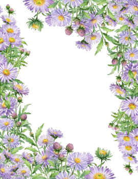 floral frame, flower border, botanical background png