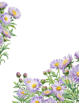 floral invitation card png