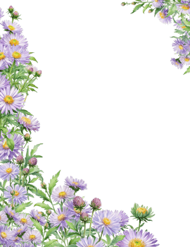 botanical border background clipart png