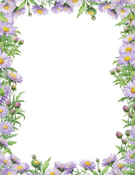 flowers blossom border background png