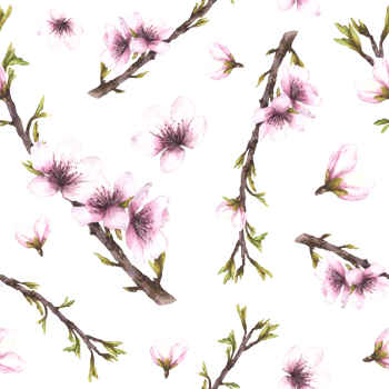 Almond blossom tree branch. Spring leaves, buds and blooming flowers. Watercolor seamless pattern hand drawn illustration. Blooming apple or cherry Clipart for wallpaper, fabric on isolated background png