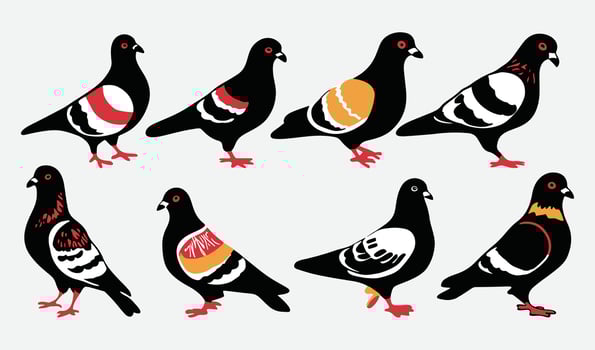 Birds Silhouette Collection Hand drawn vector