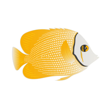 Yellow chaetodon butterflyfish isolated on white background. Cute ray-finned fish print. vector