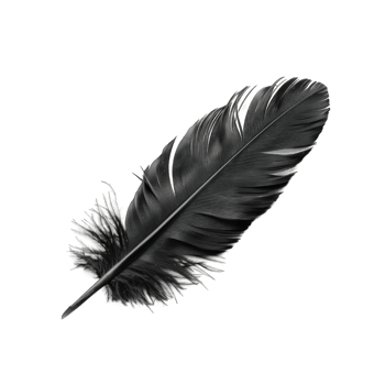 Black feather bird wing isolated on transparent background cutout png