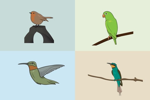 Collection of birds, Goose bird with parrot and sparrow design. vector