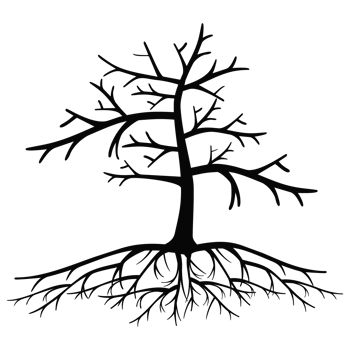 Old dark trees with roots, Black silhouette dead tree png