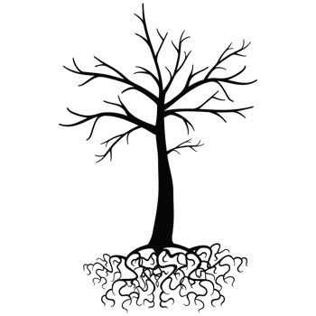 Old dark trees with roots, Black silhouette dead tree png