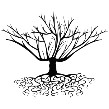 Old dark trees with roots, Black silhouette dead tree png