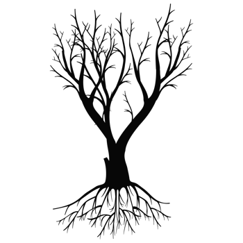 Old dark trees with roots, Black silhouette dead tree png