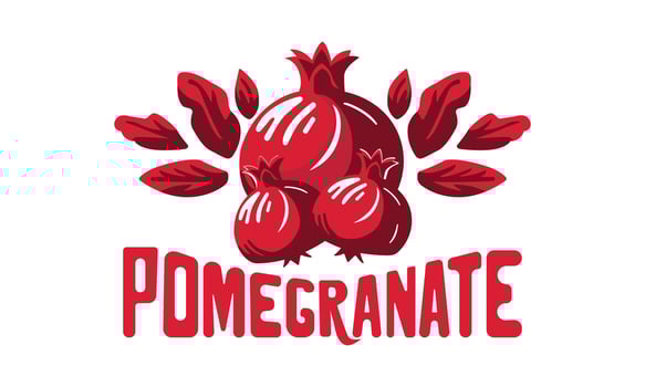 Pomegranate illustration flat design vector