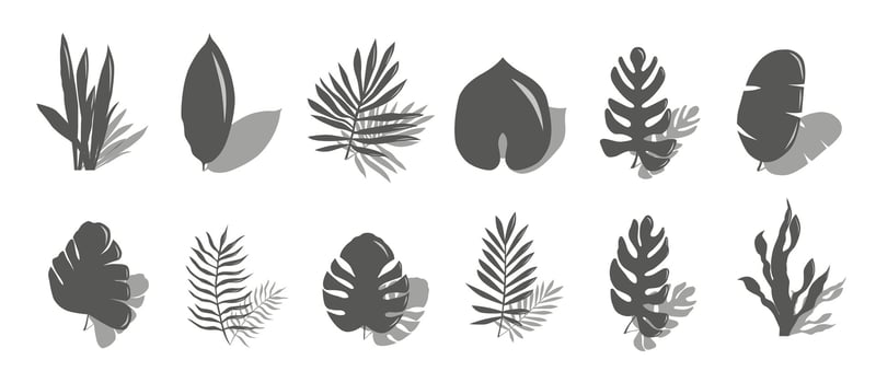 Set of tropical exotic leaves of different types. Dark leaves with shadows. Illustration isolated on white background. vector