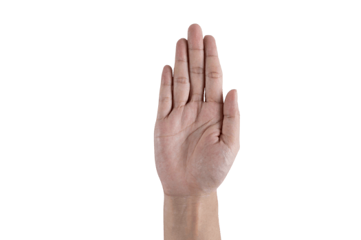 Female hand on white background. woman's hand, white isolated background. png
