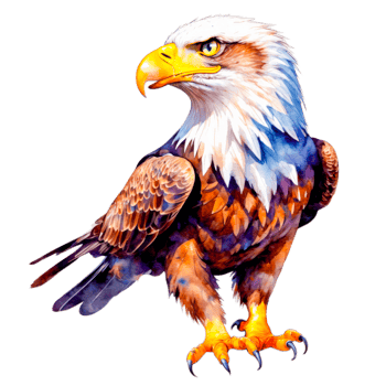 Colorful illustration of a hawk with yellow eyes and sharp talons. png