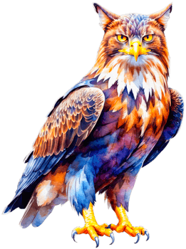 Colorful illustration of a hawk with yellow eyes and sharp talons. png