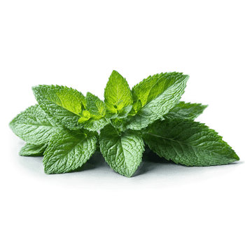 Mint with small leaves and stems in scattered dynamic composition Food and culinary concept png