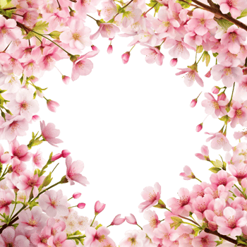 Cherry Blossom Branch Border Realistic Render png
