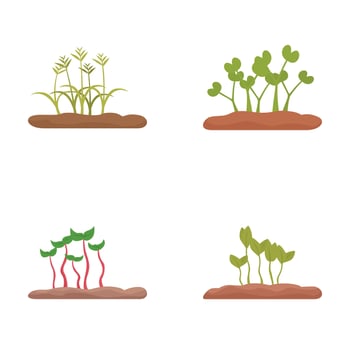 Seedling growth stages vector icons