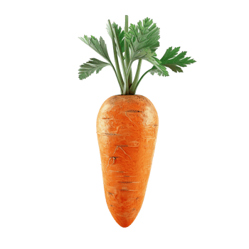 A Single Orange Carrot with Green Foliage png