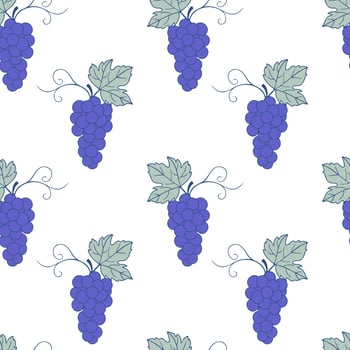 Grape seamless pattern on white background, contour doodle blue drawing of grape berries and leaves. vector