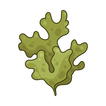 Illustration of seaweed vector