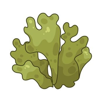 Illustration of seaweed vector