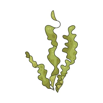 Illustration of seaweed vector