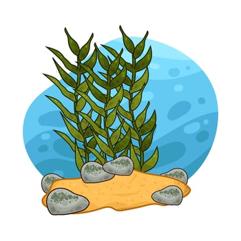 Illustration of seaweed vector