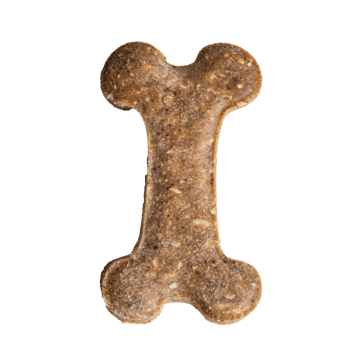 treats dog on transparent background png