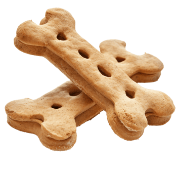 treats dog on transparent background png