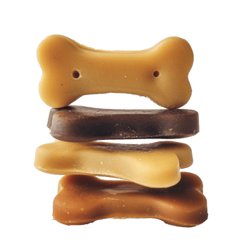 treats dog on transparent background png