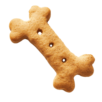 treats dog on transparent background png