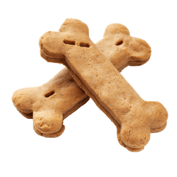 treats dog on transparent background png
