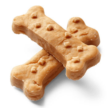 treats dog on transparent background png