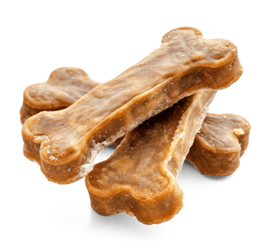 treats dog on transparent background png