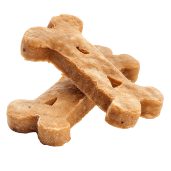 treats dog on transparent background png