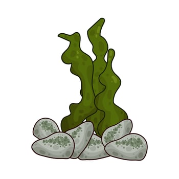Illustration of seaweed vector