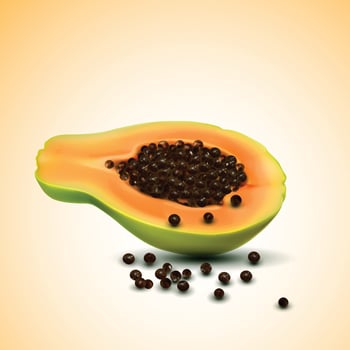 Half of fresh papaya isolated on yellow background Vectort vector
