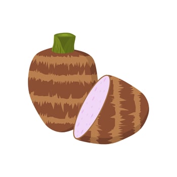 taro root flat design illustration isolated on white background. malanga, colocasia esculenta, satoimo. Chinese and japanese vegetable. Asian cuisine ingredient. Healthy vegetarian food. vector