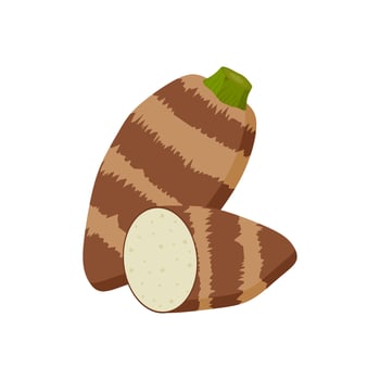 taro root flat design illustration isolated on white background. malanga, colocasia esculenta, satoimo. Chinese and japanese vegetable. Asian cuisine ingredient. Healthy vegetarian food. vector