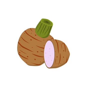taro root flat design illustration isolated on white background. malanga, colocasia esculenta, satoimo. Chinese and japanese vegetable. Asian cuisine ingredient. Healthy vegetarian food. vector