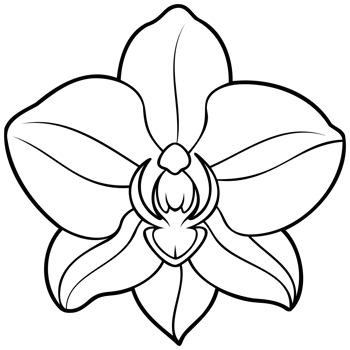 Lotus Flower Line Art png