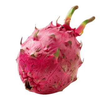 Ripe pitahaya fruit isolated on a transparent background png
