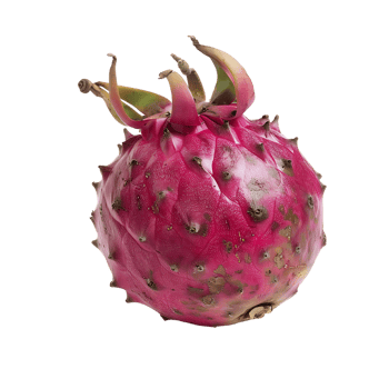 Ripe pitahaya fruit isolated on a transparent background png