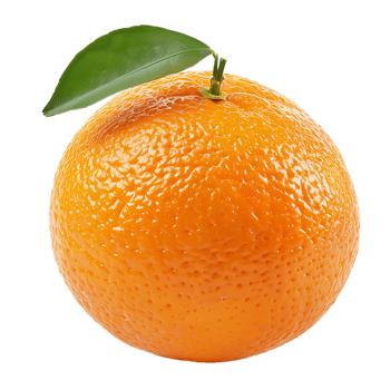 Studio shot of fresh natural orange isolated on a transparent background png