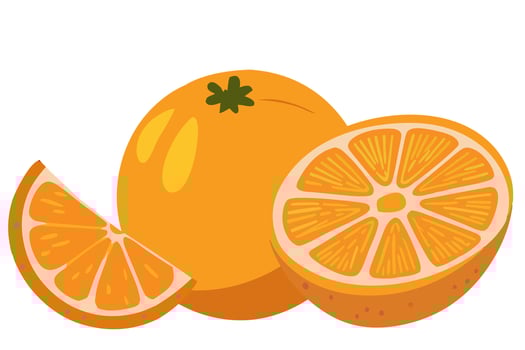 Illustration of orange fruit, whole and sliced, isolated on white background. Cartoon style illustration. vector
