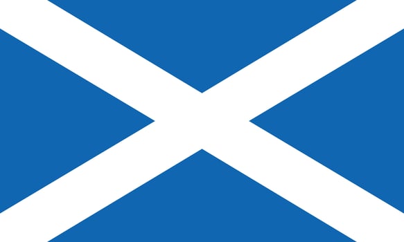 The flag of Scotland vector