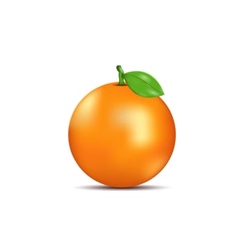 3d illustration fresh orange isolated on white background vector