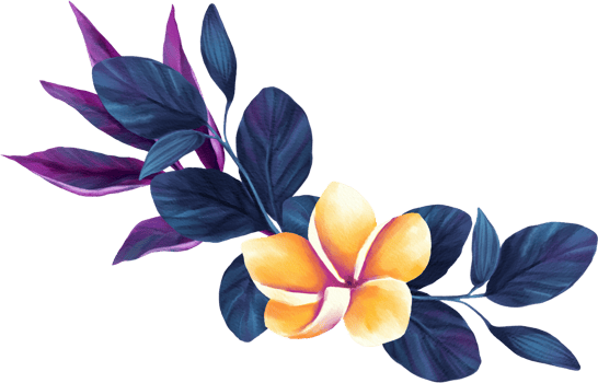 Vibrant Orchid Flora Watercolor Illustration png