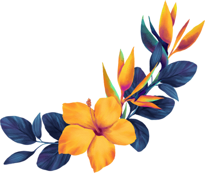 Vibrant Orchid Flora Watercolor Illustration png
